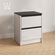 Set of 2 Modern Nightstands - White/Black 2-Drawer Tables-Nightstands-DECOROLALA