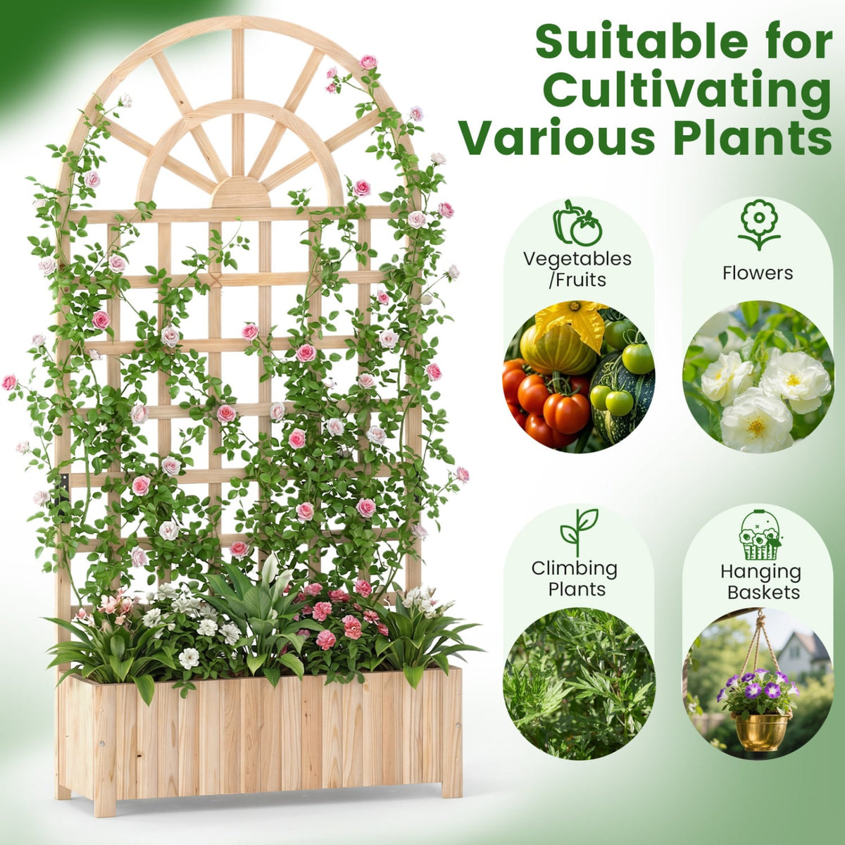 Set of 2 Wooden Raised Garden Bed with Trellis 71" Outdoor Planter Box Privacy Screen-Natural-Raised Garden Beds-DECOROLALA