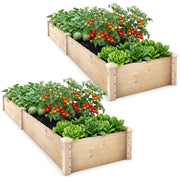 Set of 2 Wooden Vegetable Raised Garden Bed for Backyard-Natural-Raised Garden Beds-DECOROLALA
