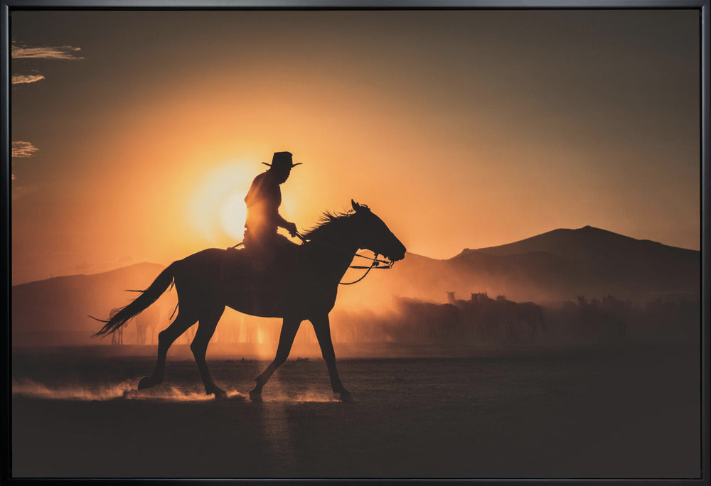 Shadow of rider-Artwork-canvas-DECOROLALA