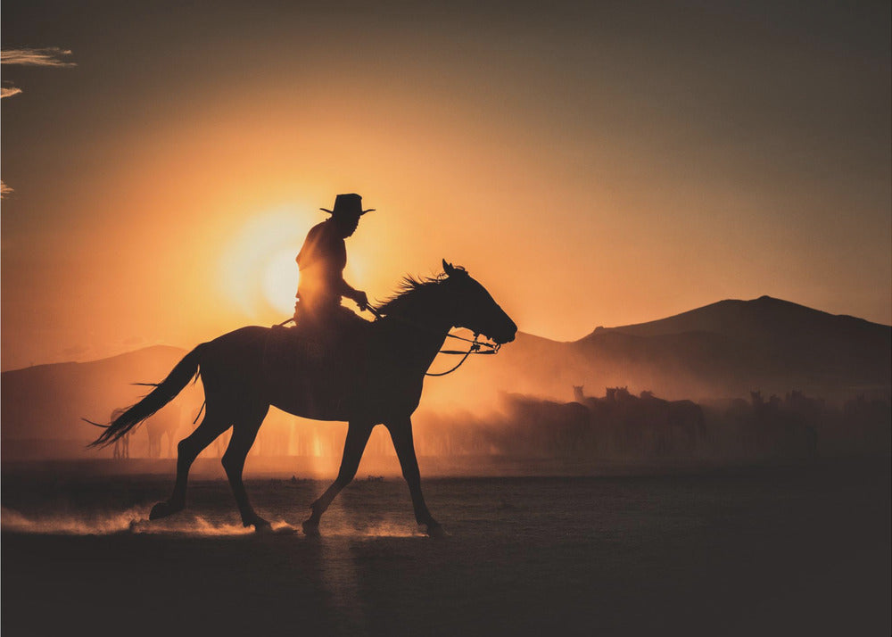 Shadow of rider-Artwork-canvas-DECOROLALA