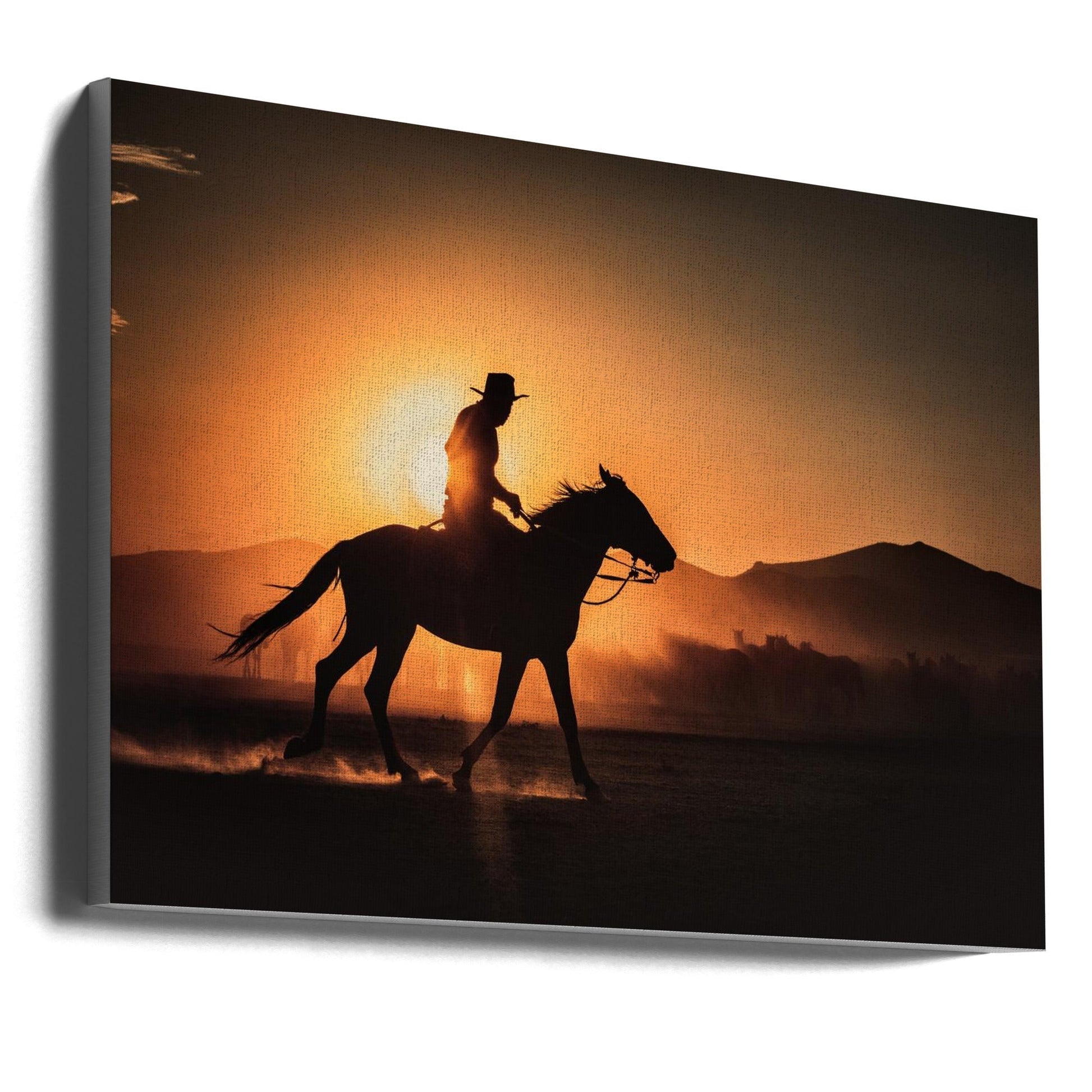 Shadow of rider-Artwork-canvas-DECOROLALA