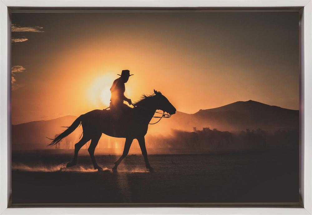 Shadow of rider-Artwork-canvas-DECOROLALA