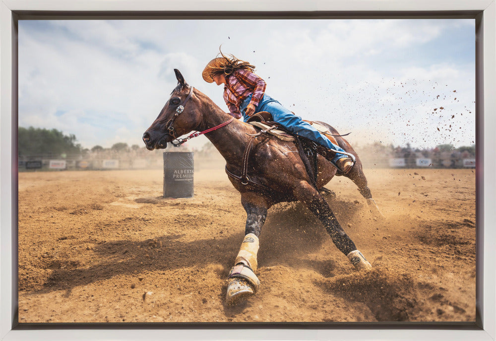 Slam on the Brakes Steven Zhou Horse Wall Art-Canvas Print-DECOROLALA