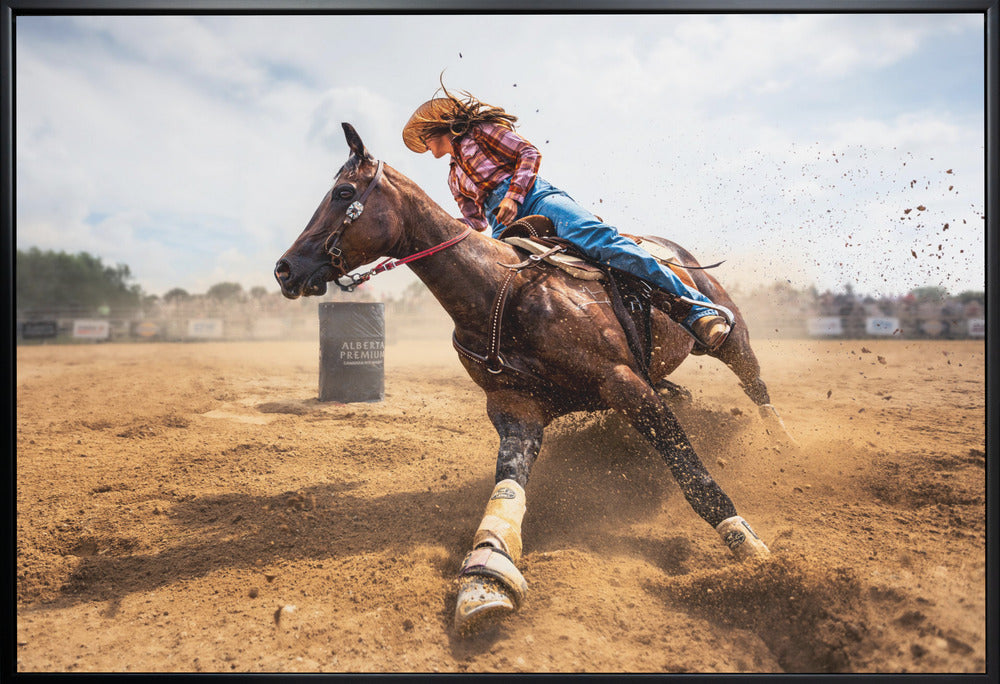 Slam on the Brakes Steven Zhou Horse Wall Art-Canvas Print-DECOROLALA