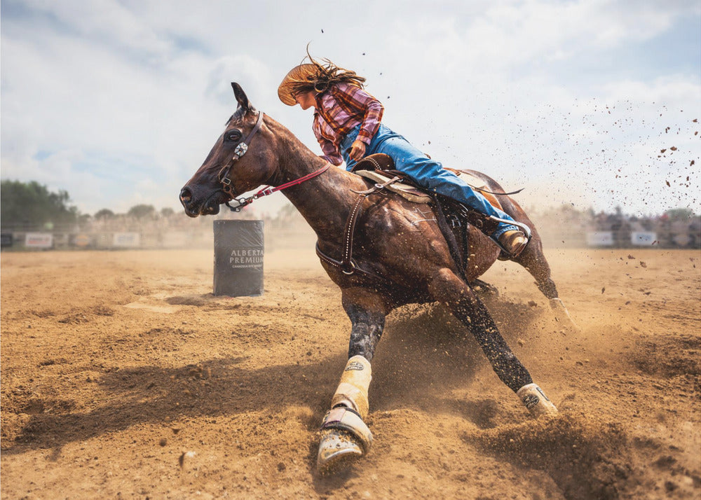 Slam on the Brakes Steven Zhou Horse Wall Art-Canvas Print-DECOROLALA