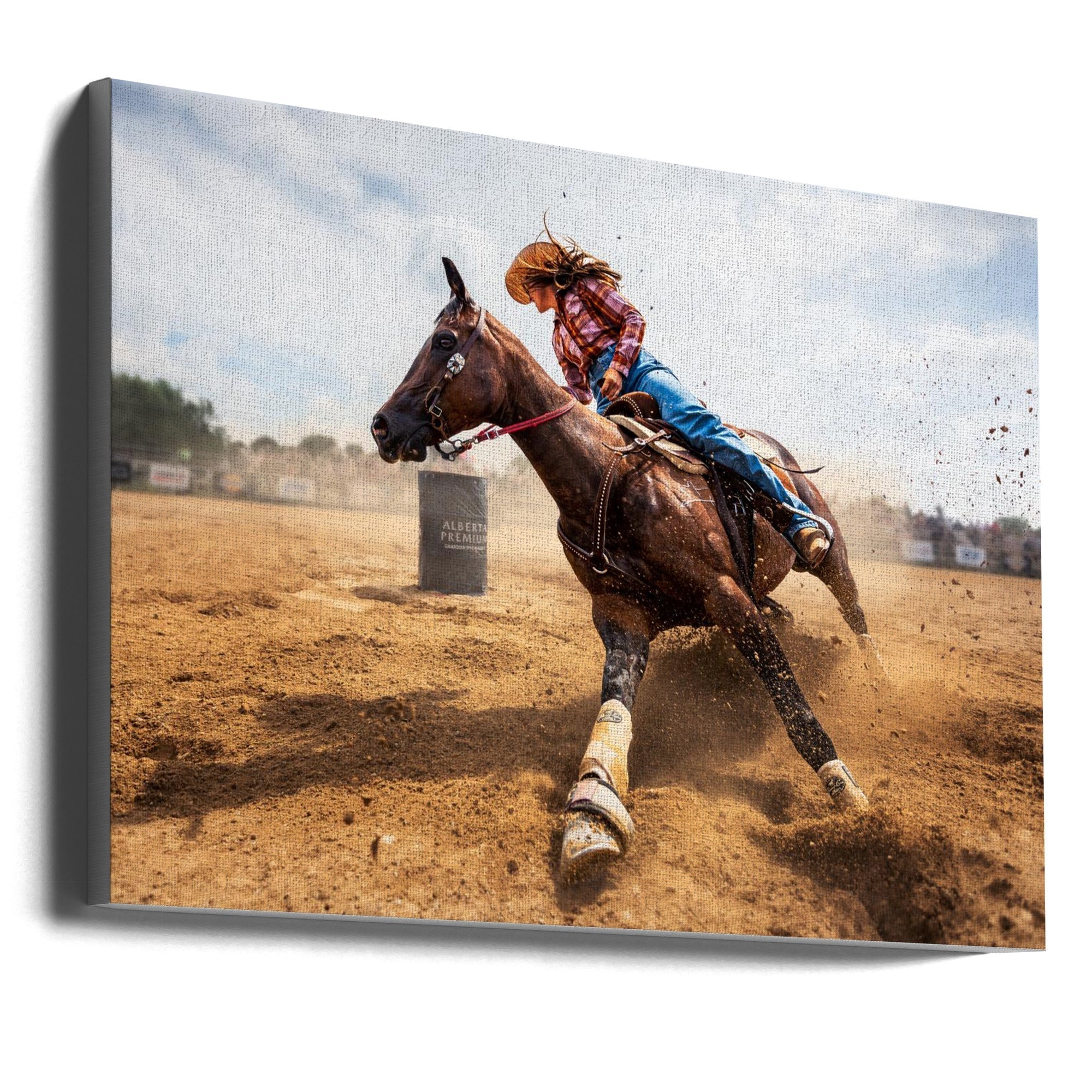 Slam on the Brakes Steven Zhou Horse Wall Art-Canvas Print-DECOROLALA