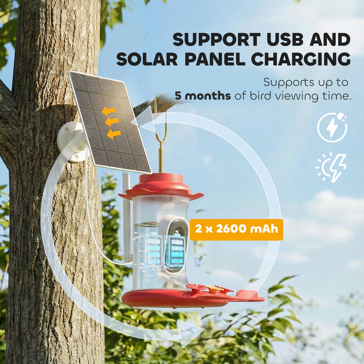 Smart Bird Feeder with Camera - 2K HD AI Bird Feeder with Solar Panel-Birds-DECOROLALA