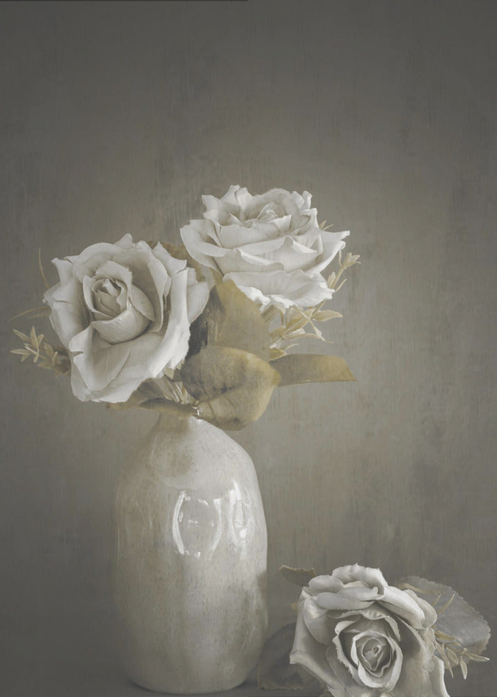 Softened by Cicek Kiral Wall Art-Canvas Print-DECOROLALA