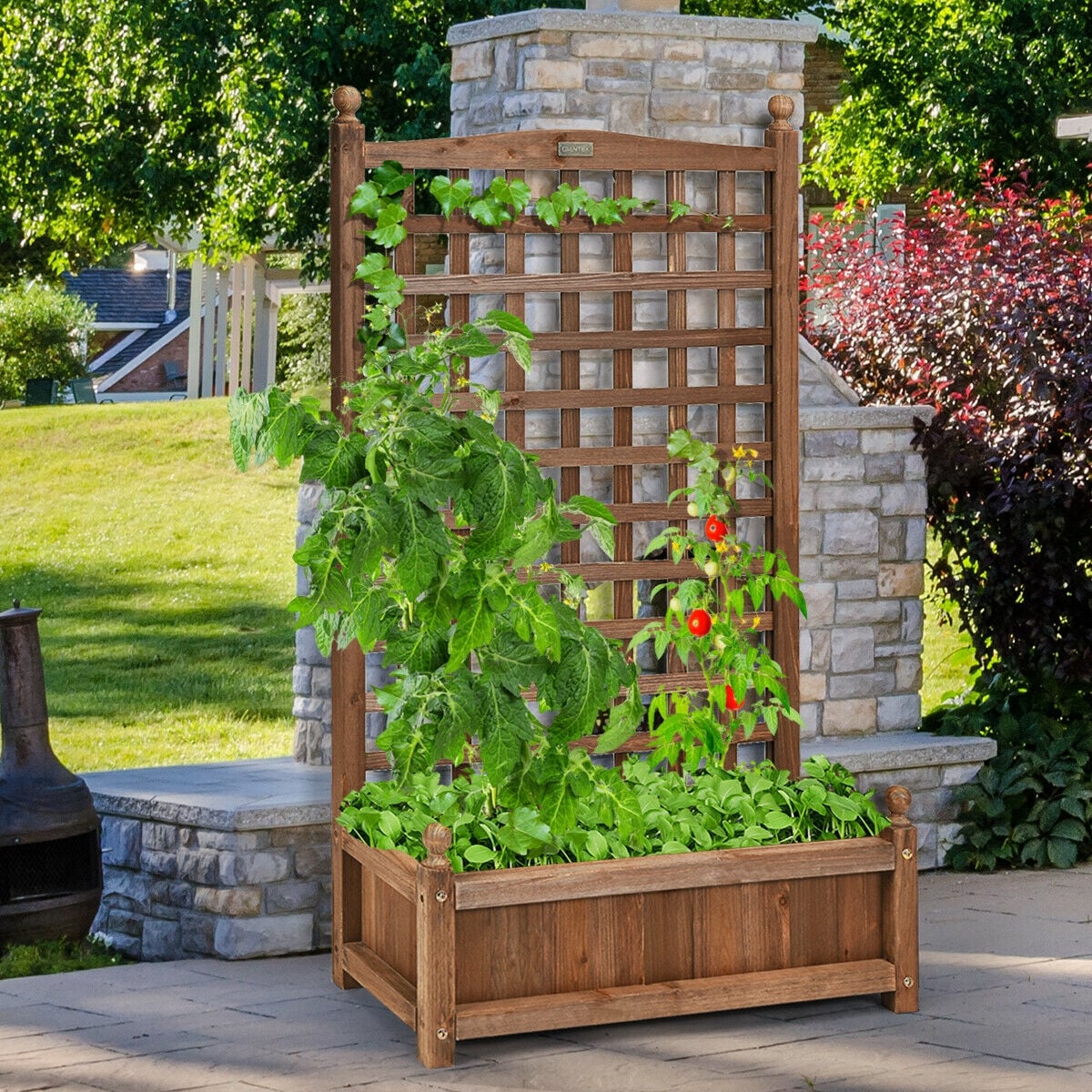 Solid Free Standing Wood Planter Box with Trellis for Garden-Raised Garden Beds-DECOROLALA