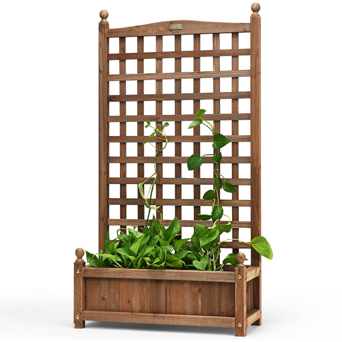 Solid Free Standing Wood Planter Box with Trellis for Garden-Raised Garden Beds-DECOROLALA