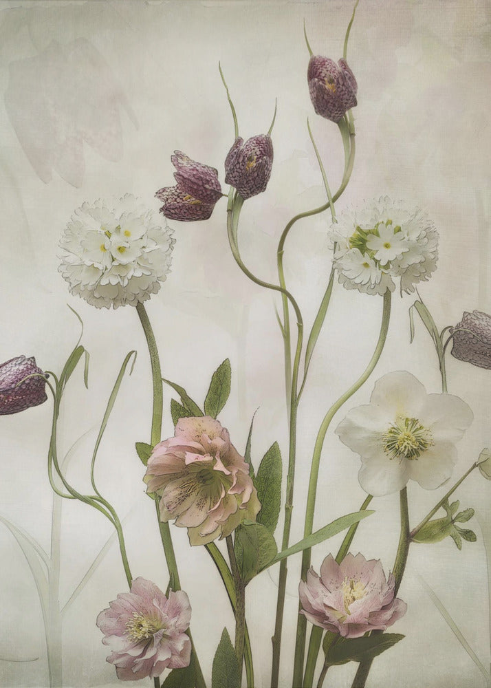 Spring Garden by Sharon Williams-canvas-DECOROLALA