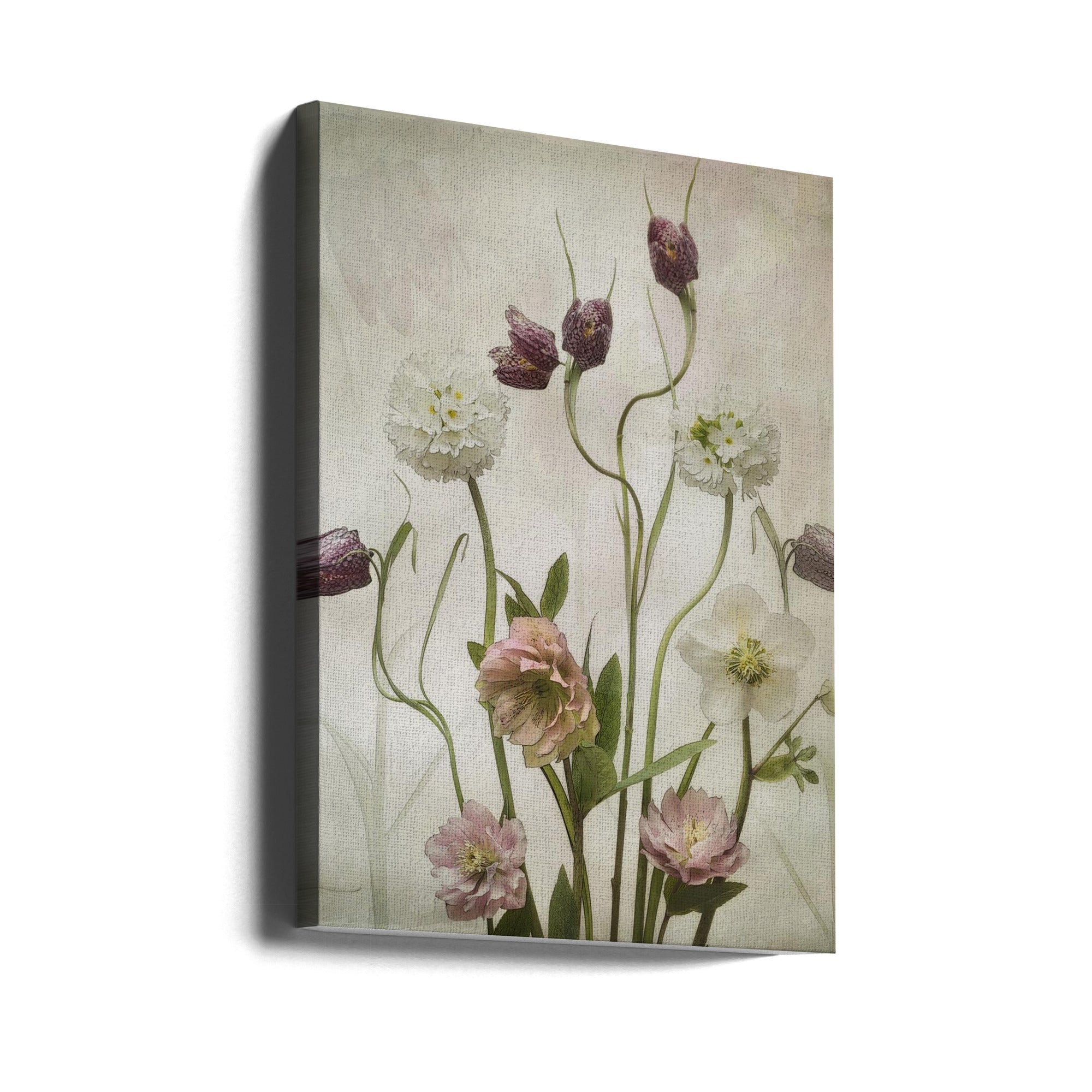 Spring Garden by Sharon Williams-canvas-DECOROLALA