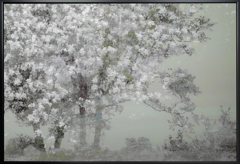 Spring by Nel Talen Wall Art-canvas-DECOROLALA