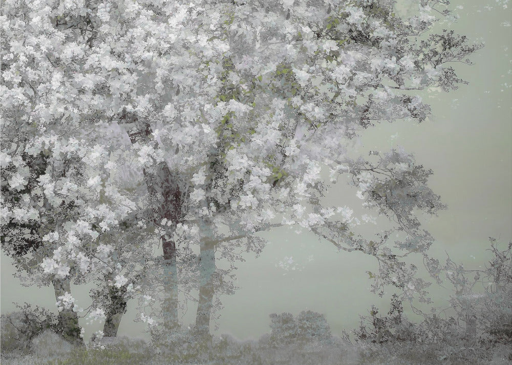Spring by Nel Talen Wall Art-canvas-DECOROLALA