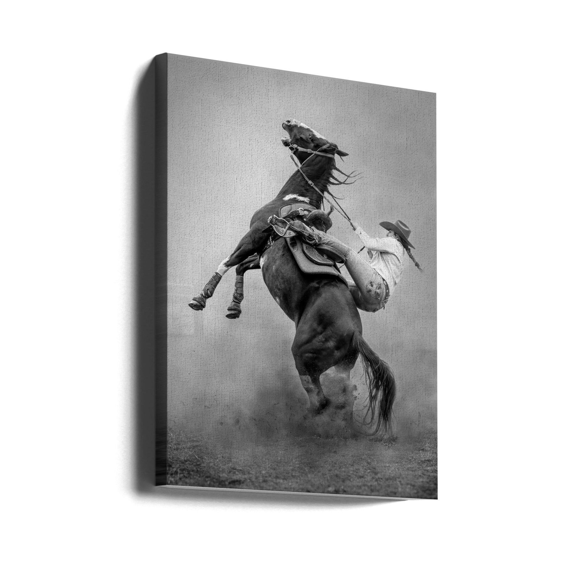Startled by Frank Ma Wall Art-canvas-DECOROLALA