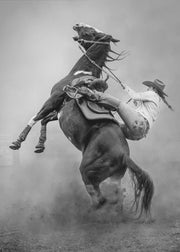 Startled-canvas-DECOROLALA