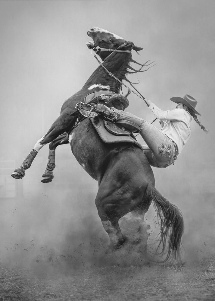 Startled-canvas-DECOROLALA