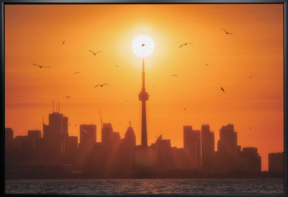 Sun Rising Behind Toronto Canvas Print-Canvas Print-DECOROLALA
