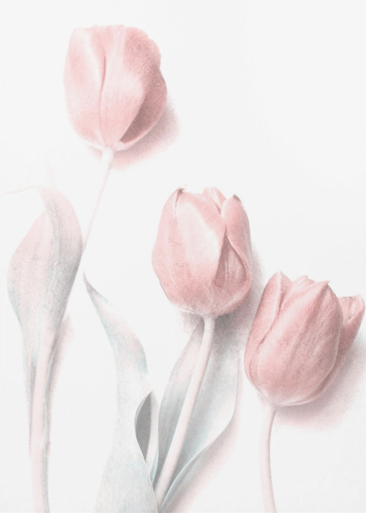 Sweet Pink Flower Wall Art by Delphine Devos-canvas-DECOROLALA