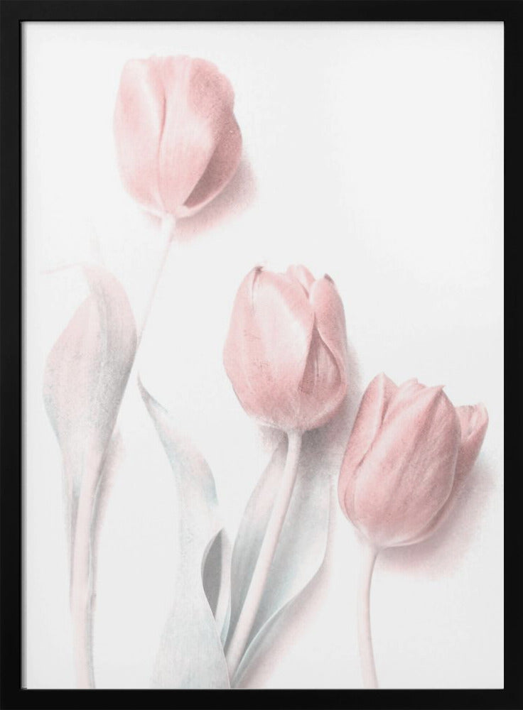 Sweet Pink Flower Wall Art by Delphine Devos-canvas-DECOROLALA
