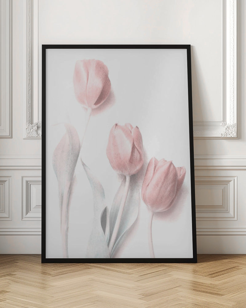 Sweet Pink Flower Wall Art by Delphine Devos-canvas-DECOROLALA