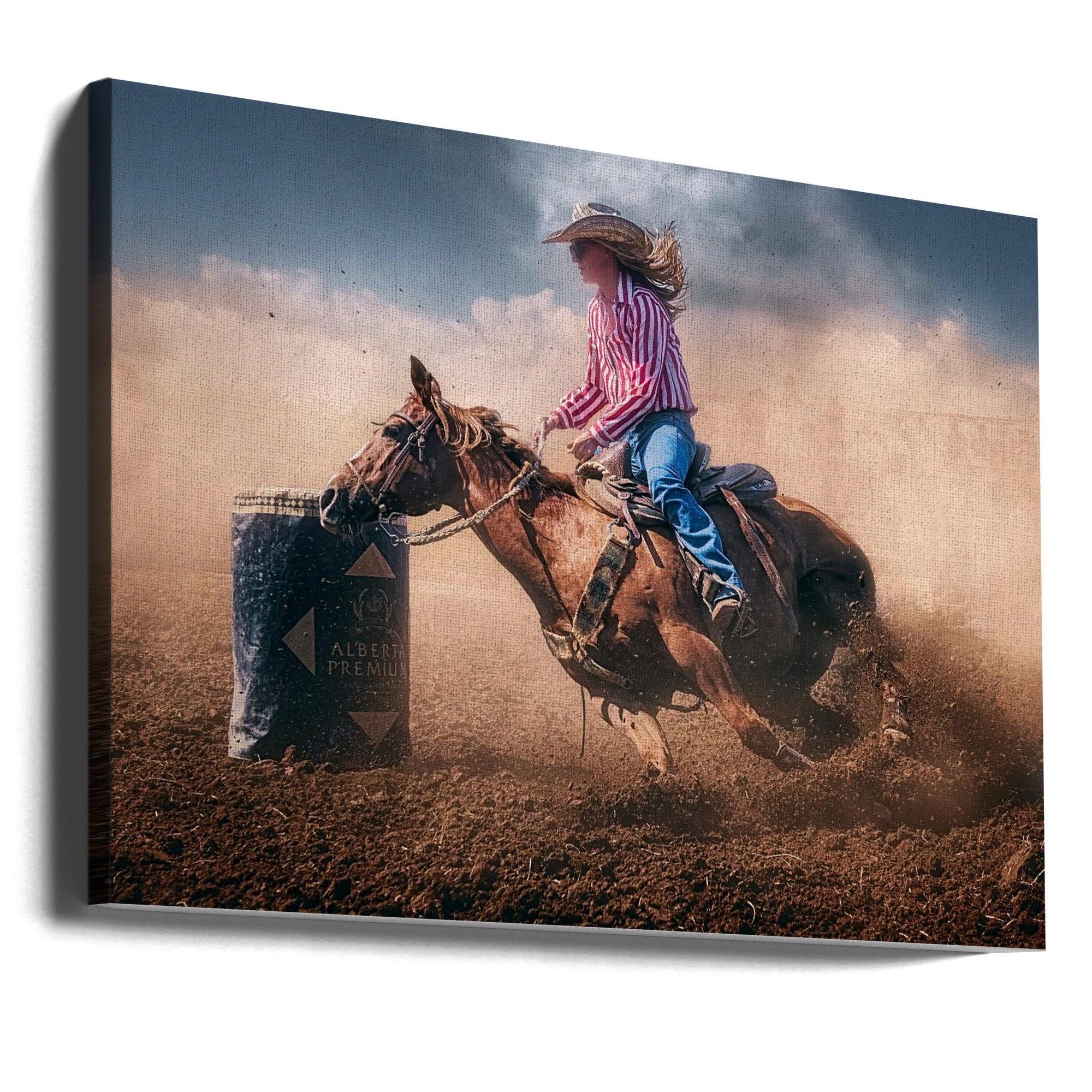 Swift Brake and Turn-canvas-DECOROLALA
