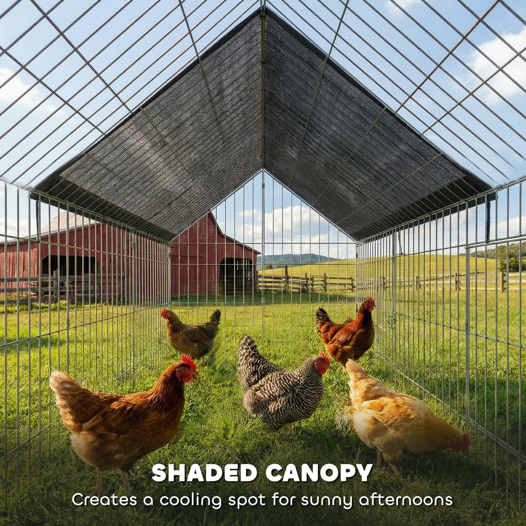 Metal Chicken Coop with UV-Resistant Cover for Hens, Rabbits, Ducks, Geese, 71" x 29.5" x 29.5", Black