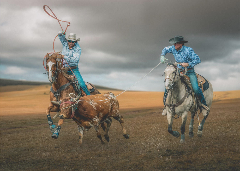 Team Roping Wall Art by Frank Ma-canvas-DECOROLALA