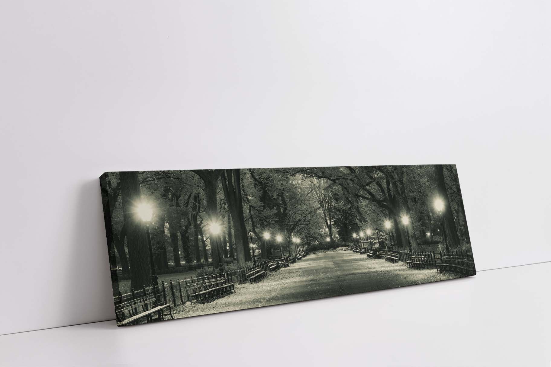 The Mall in Central Park 72" x 24"-Canvas Print-DECOROLALA