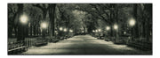 The Mall in Central Park 72" x 24"-Canvas Print-DECOROLALA