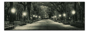 The Mall in Central Park 72" x 24" RGB-Canvas Print-DECOROLALA