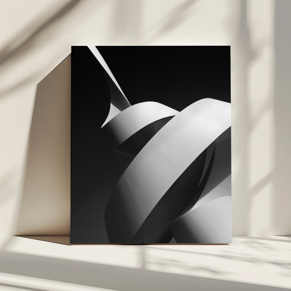 The Scroll Canvas Print by Joao Galamba-canvas prints-DECOROLALA