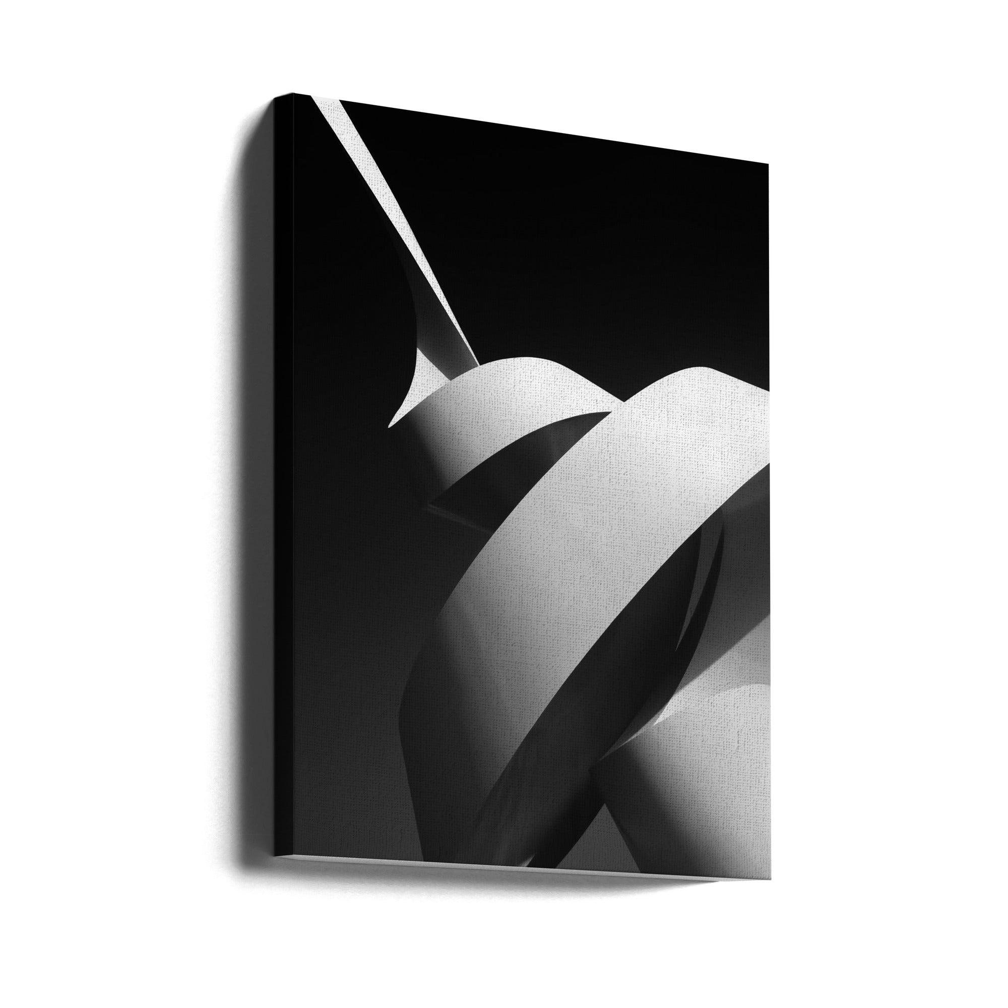 The Scroll Canvas Print by Joao Galamba-canvas prints-DECOROLALA