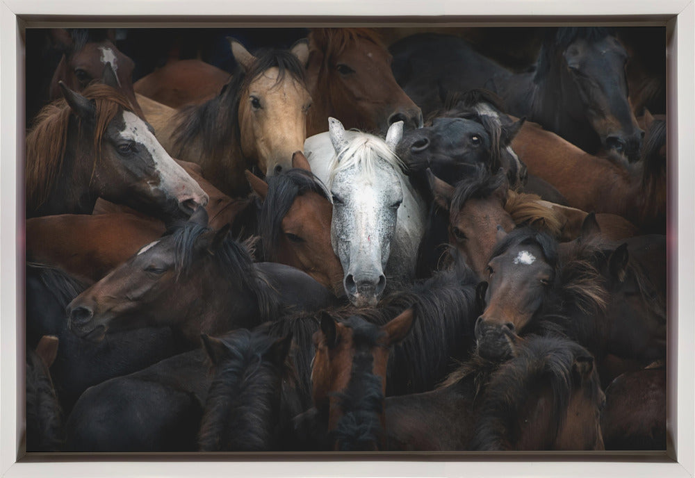 The White Horse Wall Art by Santiago Pascual Buye-Canvas Print-DECOROLALA