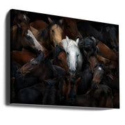 The White Horse Wall Art by Santiago Pascual Buye-Canvas Print-DECOROLALA
