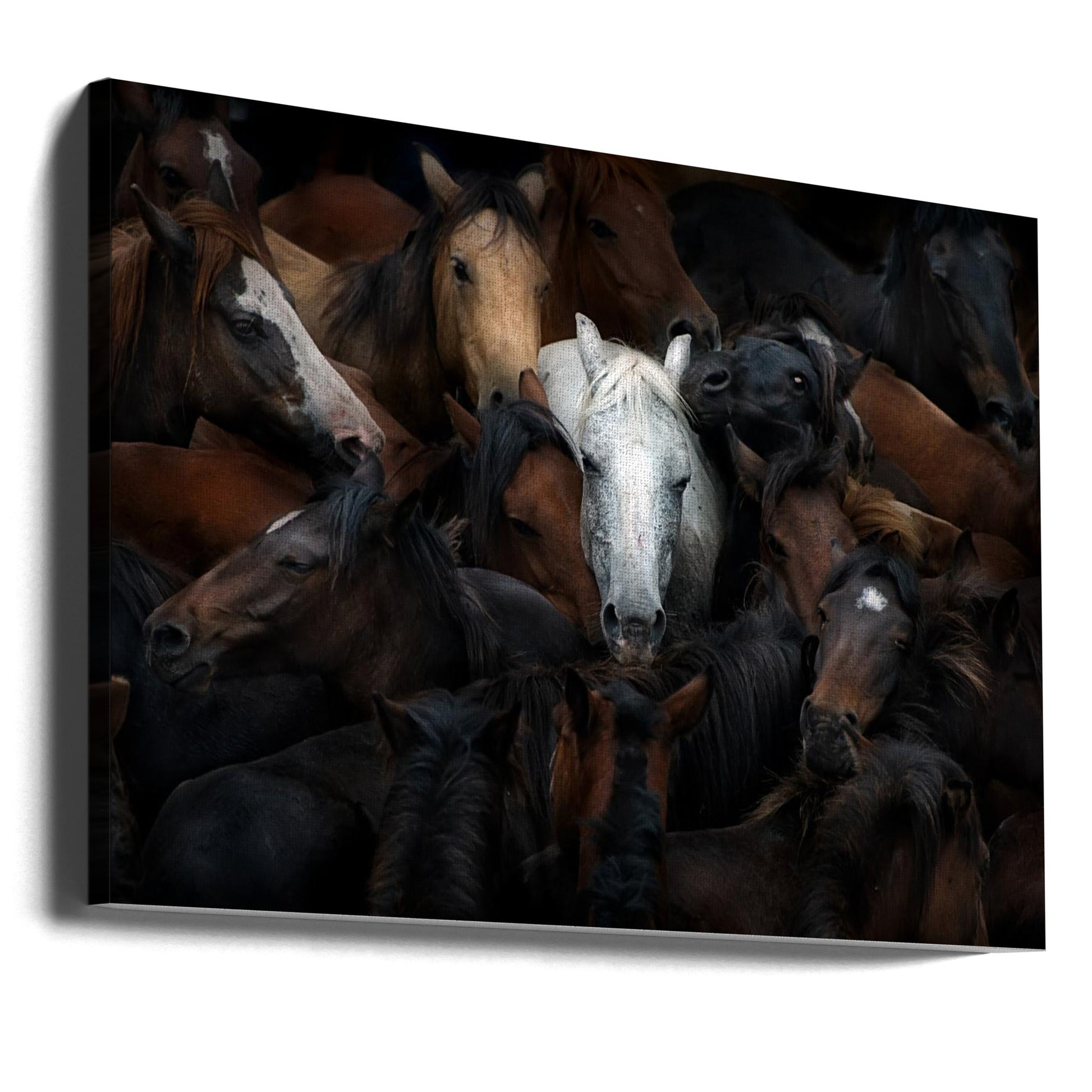 The White Horse Wall Art by Santiago Pascual Buye-Canvas Print-DECOROLALA
