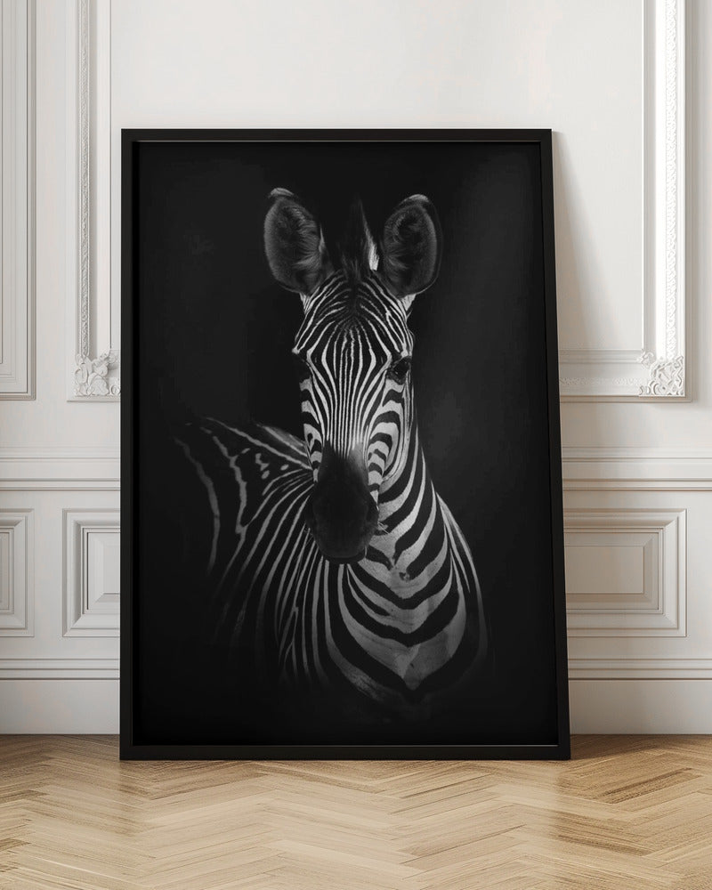 The Zebra Wall Art by WildPhotoArt-canvas-DECOROLALA