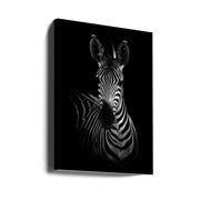 The Zebra Wall Art by WildPhotoArt-canvas-DECOROLALA