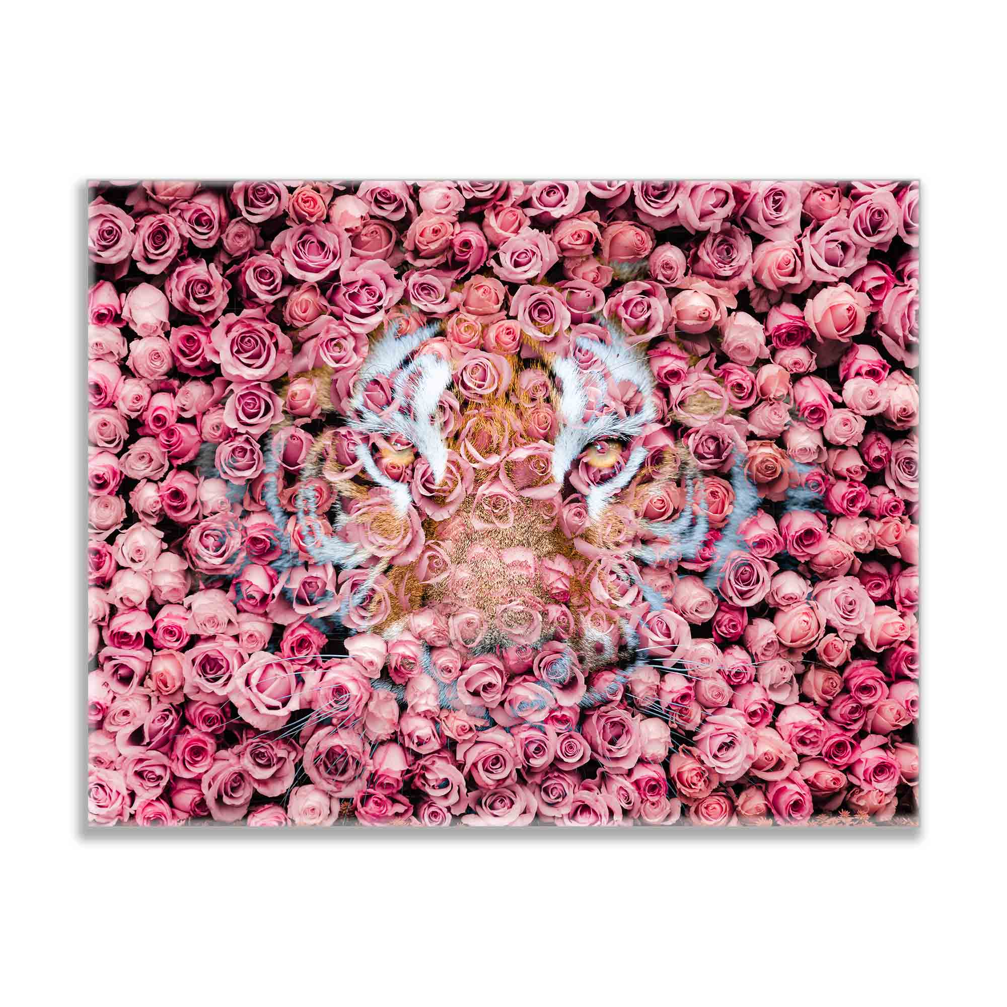 Tiger in the Rose-Wildlife Canvas Prints- Animal Art- Gold varnish-Wall Art-DECOROLALA
