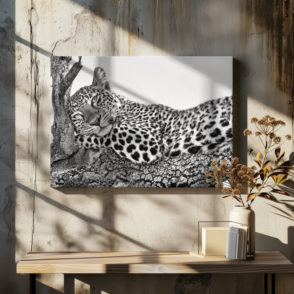 Time to Rest Leopard Wall Art by Xavier Ortega-Canvas Print-DECOROLALA