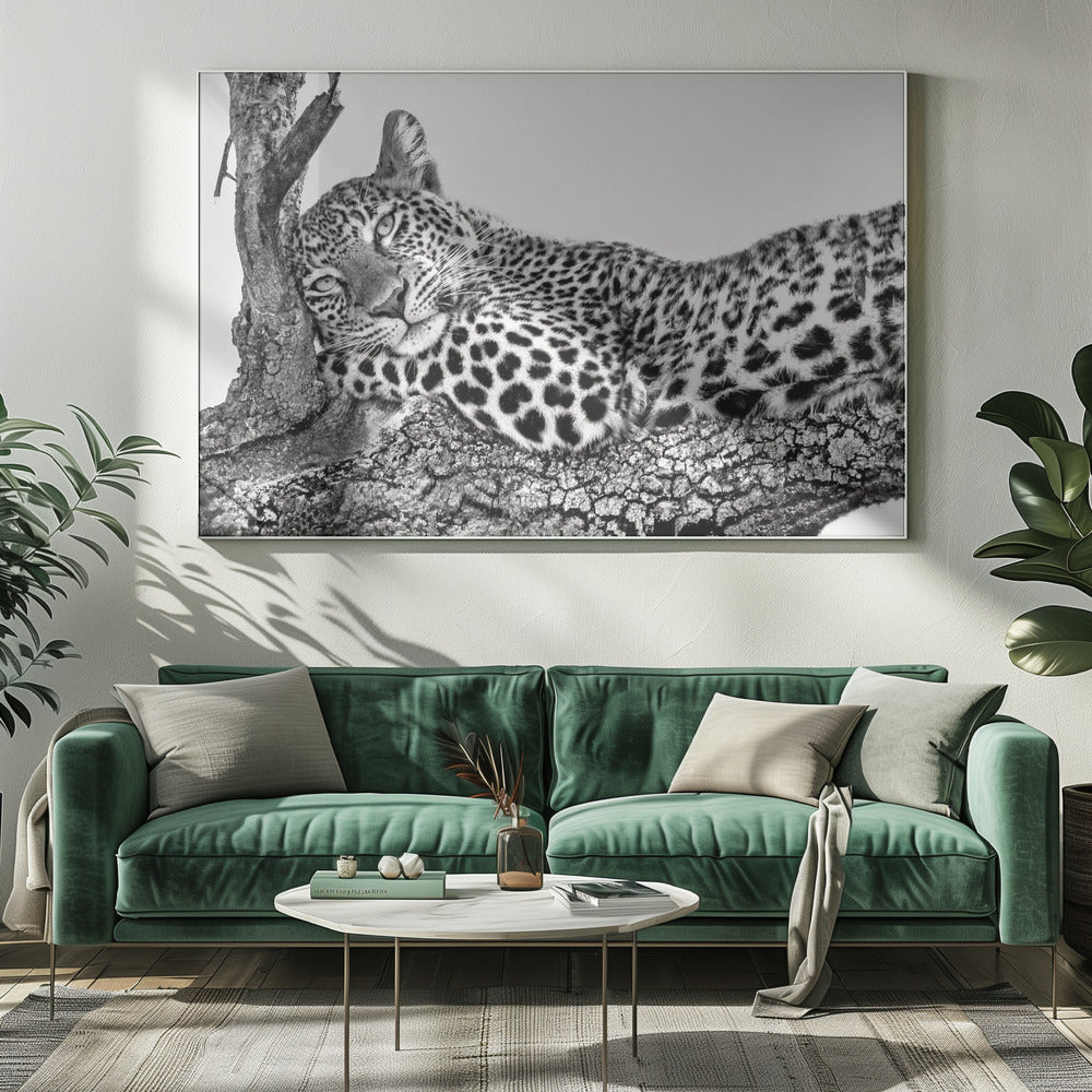 Time to Rest Leopard Wall Art by Xavier Ortega-Canvas Print-DECOROLALA