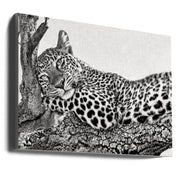 Time to Rest Leopard Wall Art by Xavier Ortega-Canvas Print-DECOROLALA