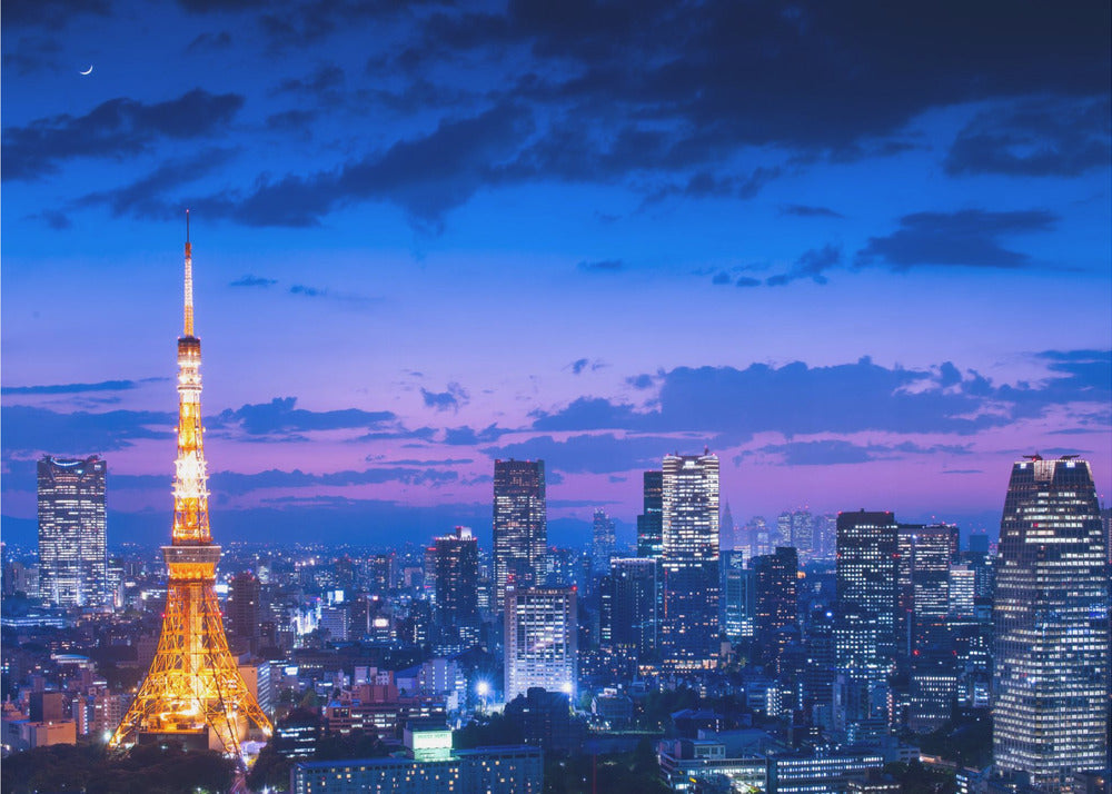 Tokyo Night View Canvas by Takao Kataoka-Canvas Print-DECOROLALA