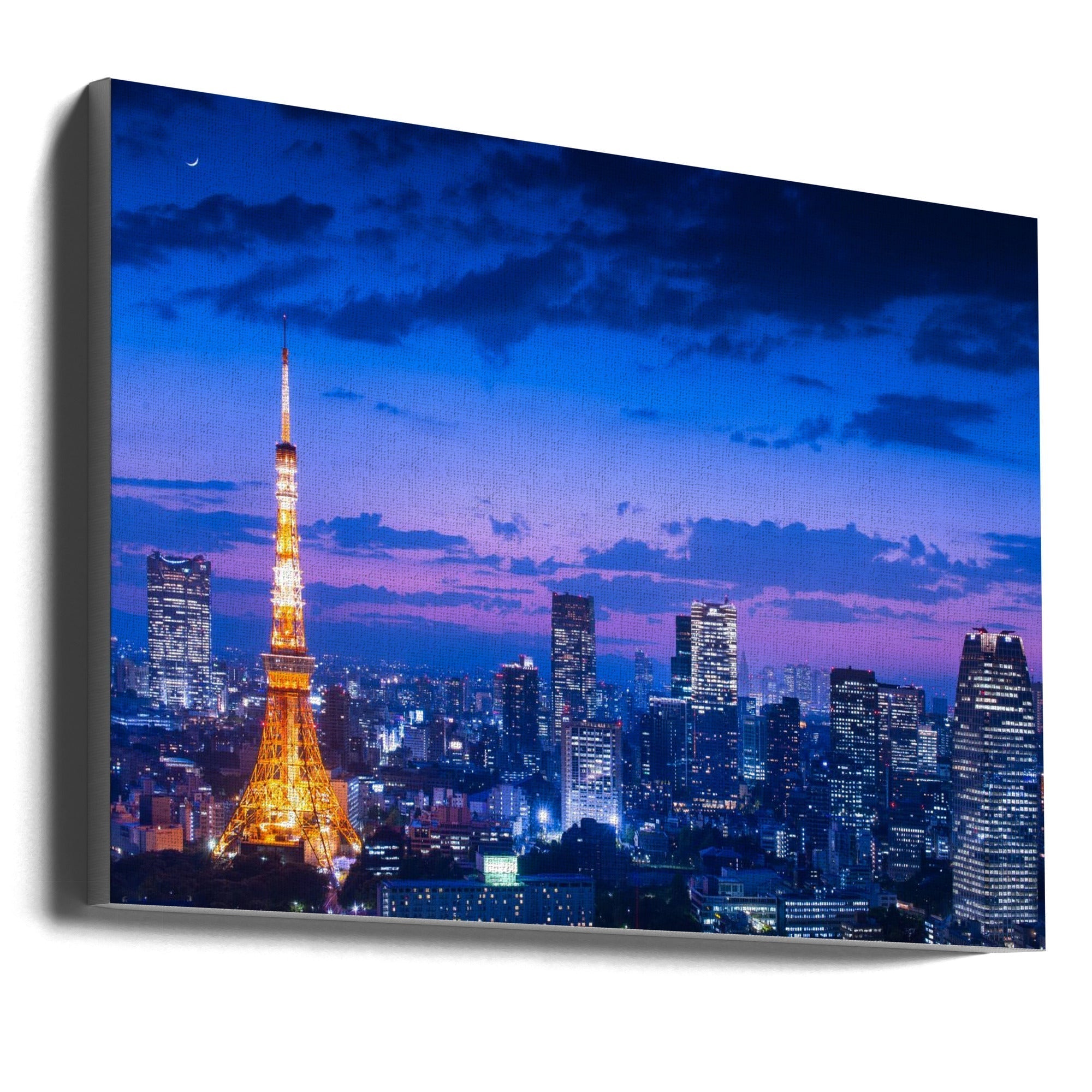 Tokyo Night View Canvas by Takao Kataoka-Canvas Print-DECOROLALA