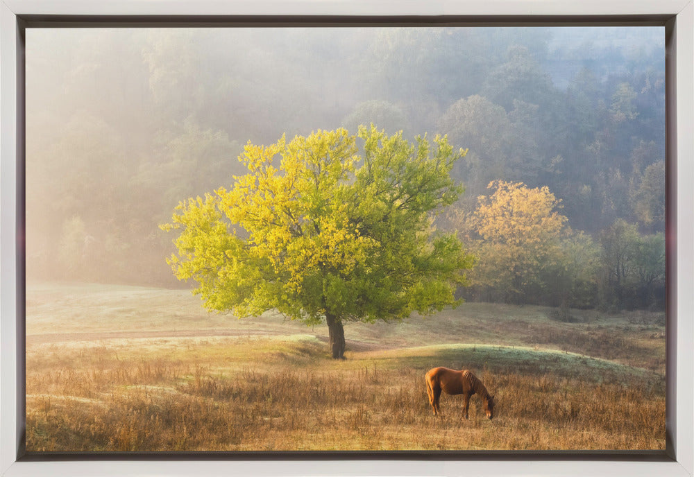 Tree of Life Canvas Print by Sebastian Prioteasa-Canvas Print-DECOROLALA