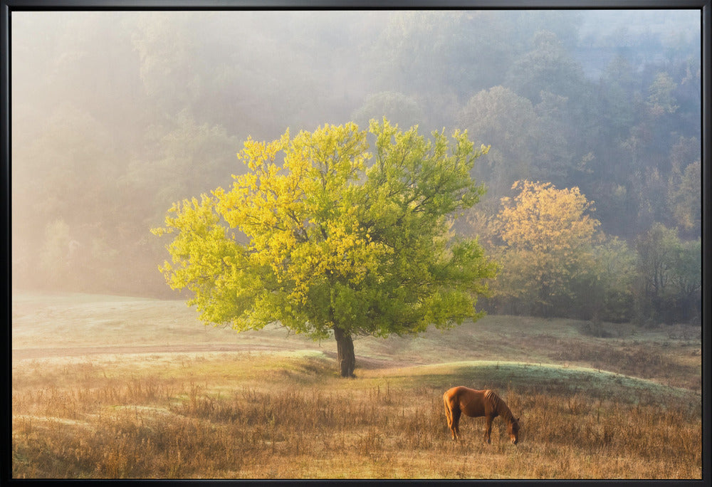 Tree of Life Canvas Print by Sebastian Prioteasa-Canvas Print-DECOROLALA