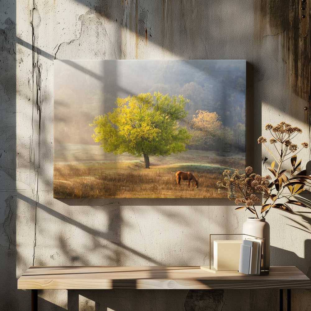 Tree of Life Canvas Print by Sebastian Prioteasa-Canvas Print-DECOROLALA