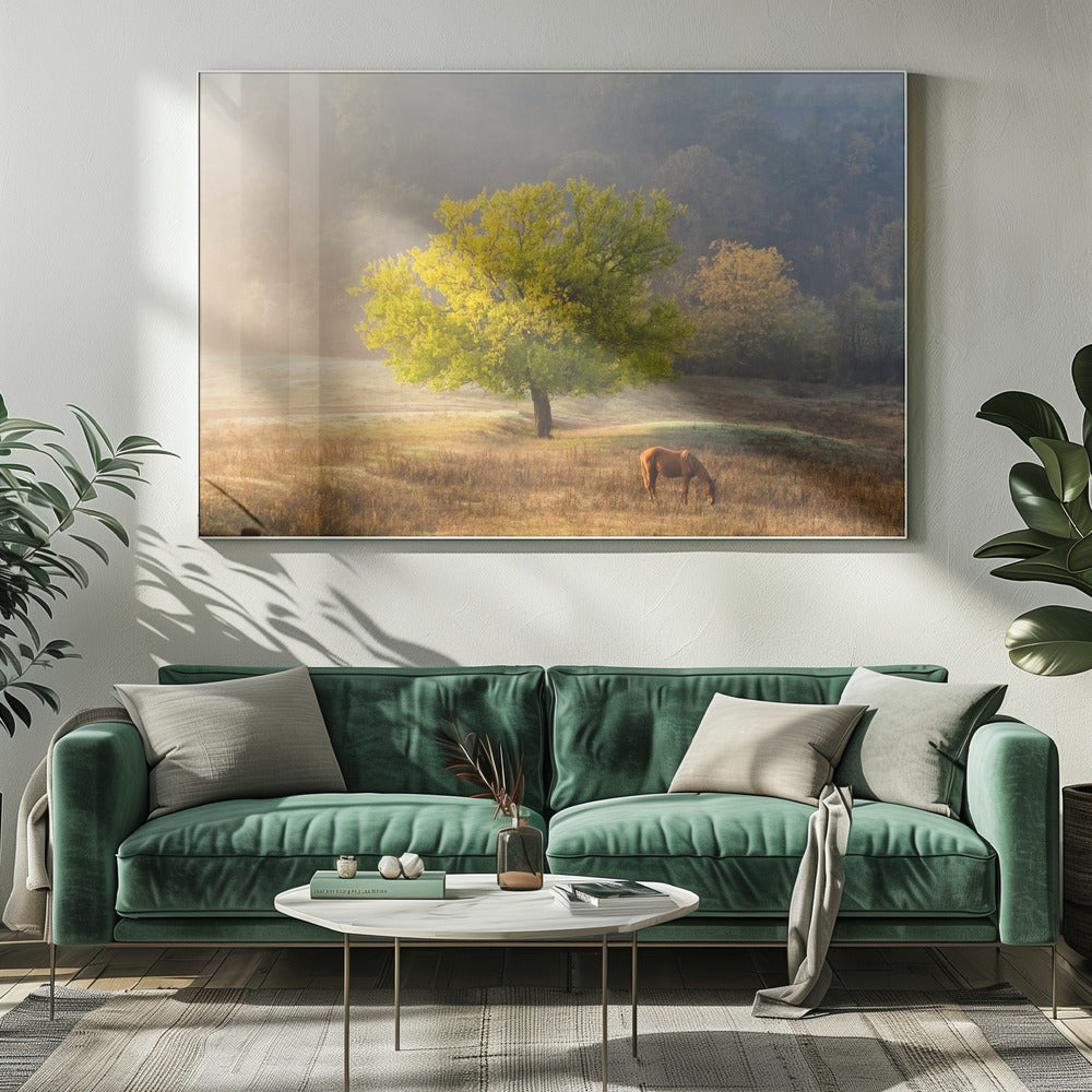 Tree of Life Canvas Print by Sebastian Prioteasa-Canvas Print-DECOROLALA