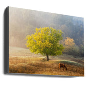 Tree of Life Canvas Print by Sebastian Prioteasa-Canvas Print-DECOROLALA